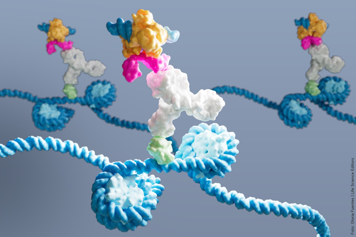 CMMC: New method developed for mapping protein binding to DNA